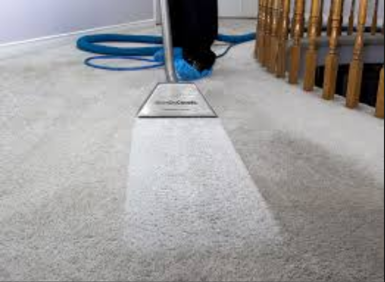 Logo for Carpet Clinic